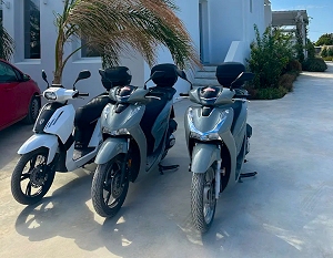 naxos rent car town
